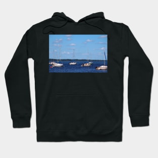 Summer On The Lake Hoodie